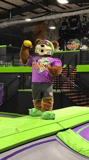 JumpGiants_About_Rules&FAQs_JayGeeDodgeball_Image